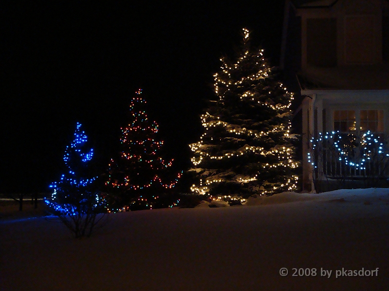 019 A2 Snowfall & Trees [2008 Dec 20].JPG - Our Christmas Trees for 2008.